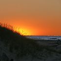 sunrise-behind-sand-dune