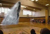 Blue Whale Hologram