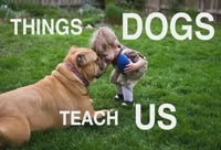 What We Can Learn from Dogs