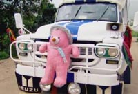 Hammond can't handle Burmese horsepower!